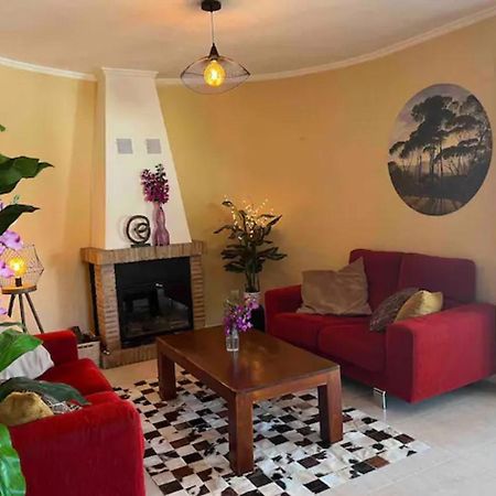 Villa Casa Joli In Oliva With Private Pool And Stunning Views מראה חיצוני תמונה